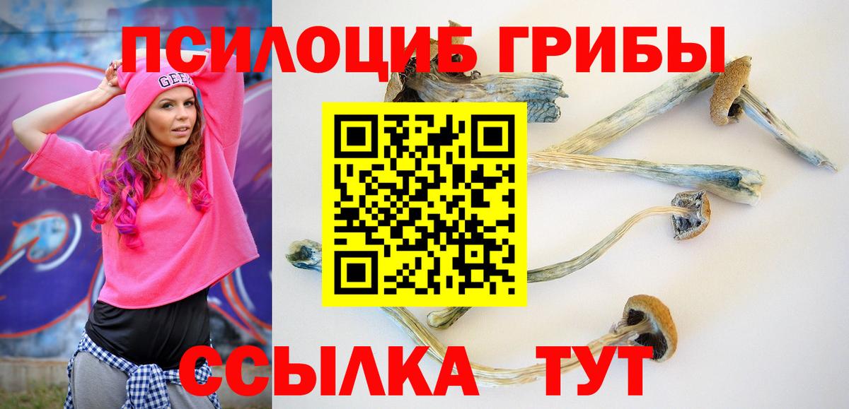 Орёл  Галлюциногенные грибы MAGIC MUSHROOMS  Галлюциногенные грибы MAGIC MUSHROOMS  Вход с VPN 